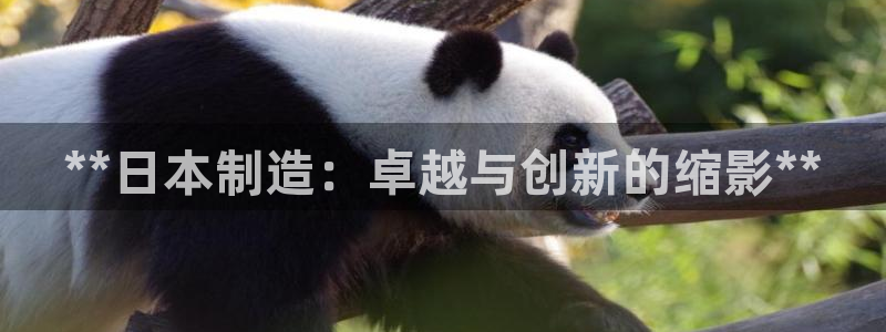 彩神争霸官方登录：**日本制造：卓越与创新的缩影**