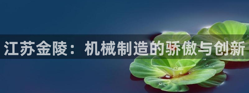 彩神官方邀请码是多少：江苏金陵：机械制造的骄傲与创新
