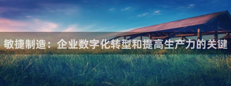彩神平台之间是什么关系：敏捷制造：企业数字化转型和提高生产力的关键