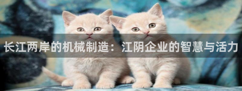 彩神app赚钱是真是假：长江两岸的机械制造：江阴企业的智慧与活力