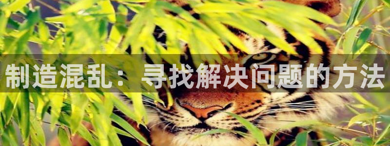 彩神Vll：制造混乱：寻找解决问题的方法