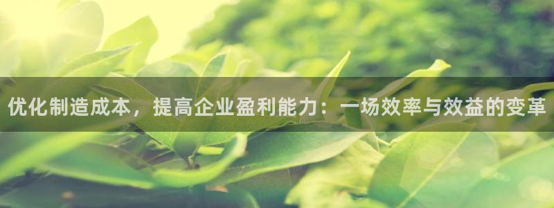 彩神vll首页企业文化：优化制造成本，提高企业盈利能力：一场效率与效益的变革