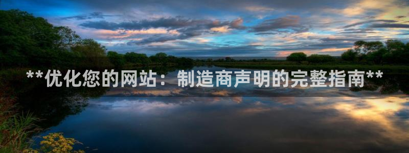 彩神平台：**优化您的网站：制造商声明的完整指南**