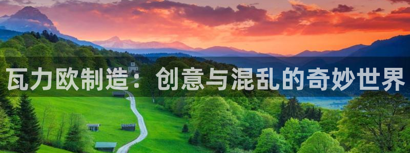 彩神vlll游戏特色：瓦力欧制造：创意与混乱的奇妙世界