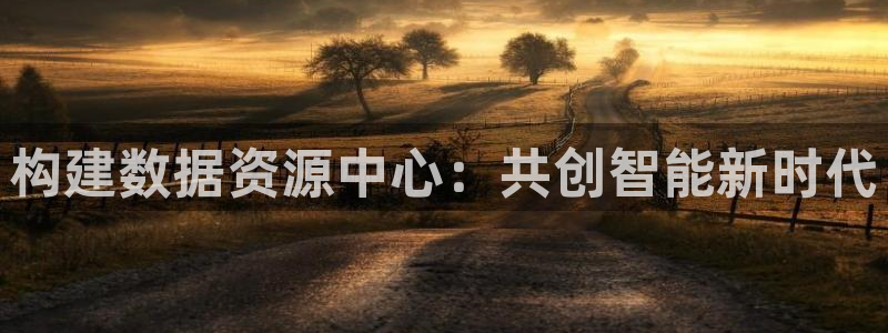 彩神8官网版：构建数据资源中心：共创智能新时代