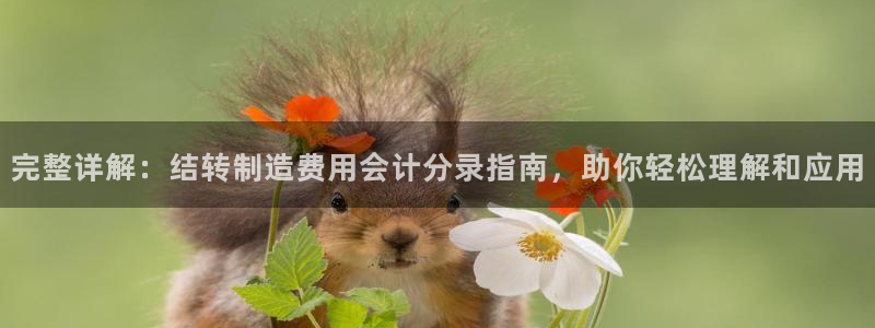 彩神赢钱了吗是真的吗：完整详解：结转制造费用会计分录指南，助你轻松理解和应用