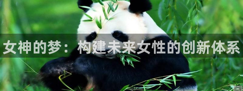 彩神vi官网版：女神的梦：构建未来女性的创新体系