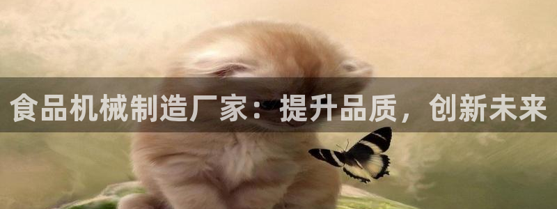 彩神v天天：食品机械制造厂家：提升品质，创新未来