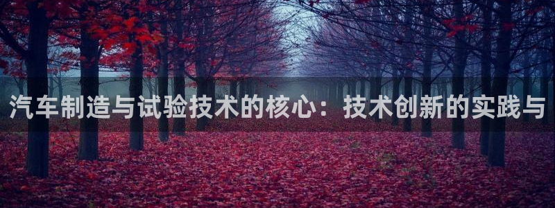彩神是正规平台吗是真的吗：汽车制造与试验技术的核心：技术创新的实践与