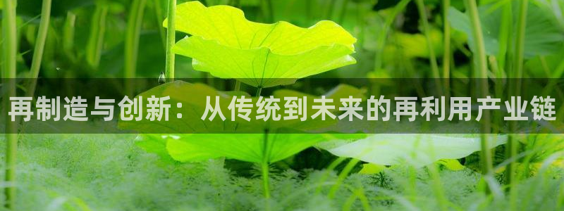 下载彩神乐发V：再制造与创新：从传统到未来的再利用产业链