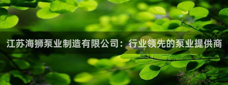 彩神V官网：江苏海狮泵业制造有限公司：行业领先的泵业提供商