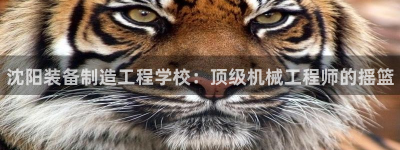 新版彩神v8登录不上去